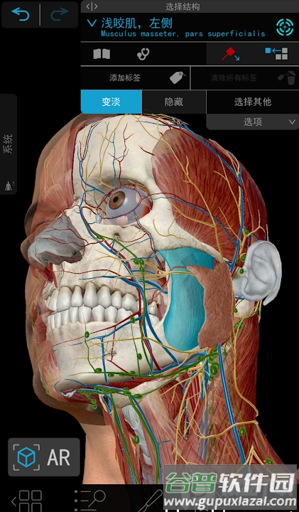2026人体解刨学图谱Atlas截图4