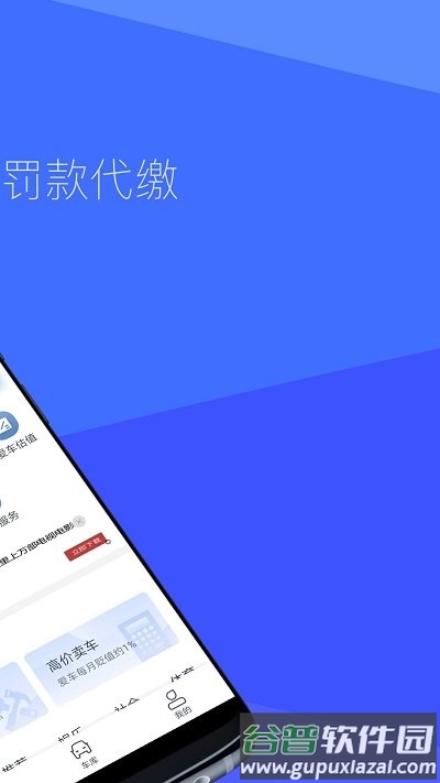 12123查违章最新版截图2