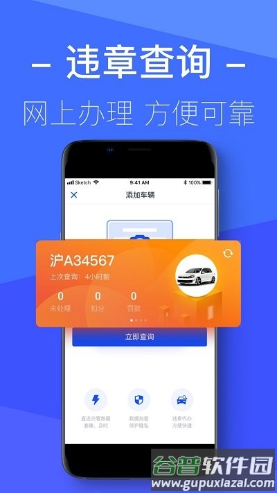 12123查违章最新版截图3