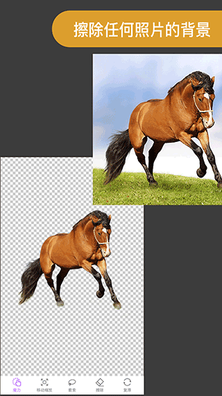 ProKnockout软件截图1