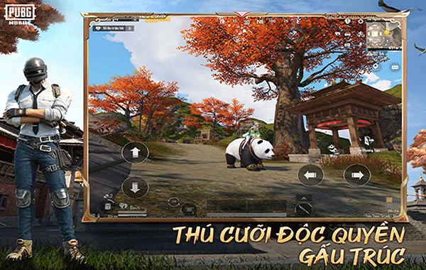 pubg越南服最新版截图4