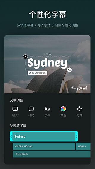 VN视频剪辑中文版截图3