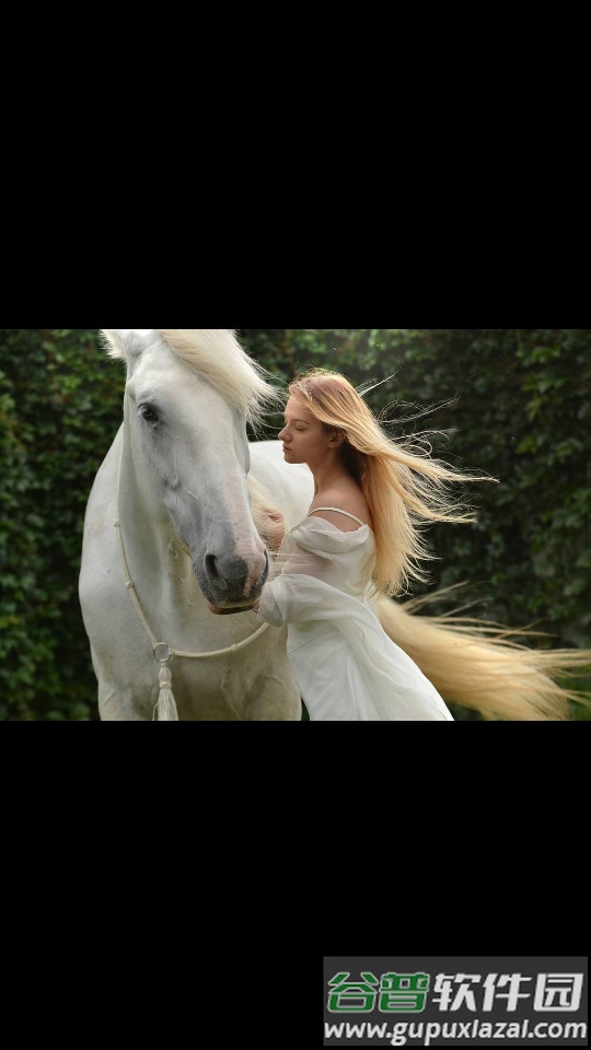 pixabay素材网截图1