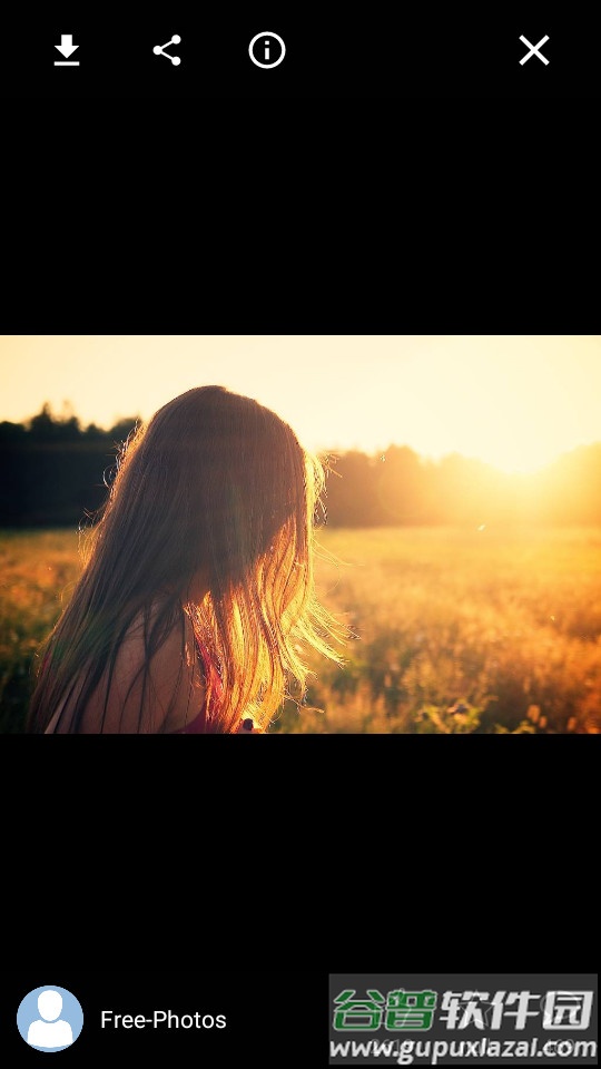 pixabay素材网截图2