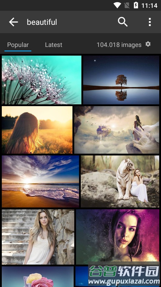 pixabay素材网截图3