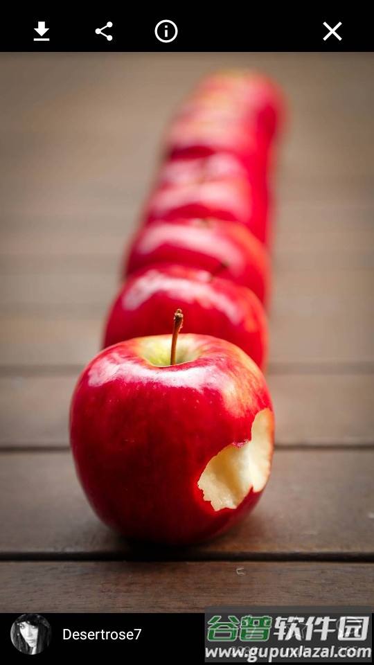 pixabay素材网截图5