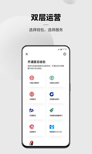 数字人民币安卓app截图1