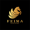 飞马外勤appv1.6.15