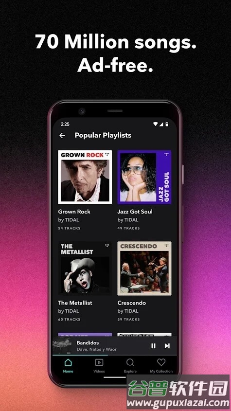 TIDAL音乐app(潮汐音乐)截图3
