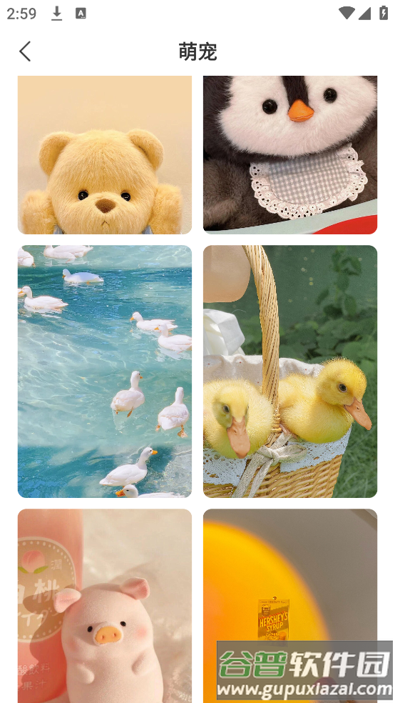 飞羽壁纸高清app截图1