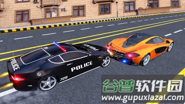 公路抓捕警察模拟游戏截图3