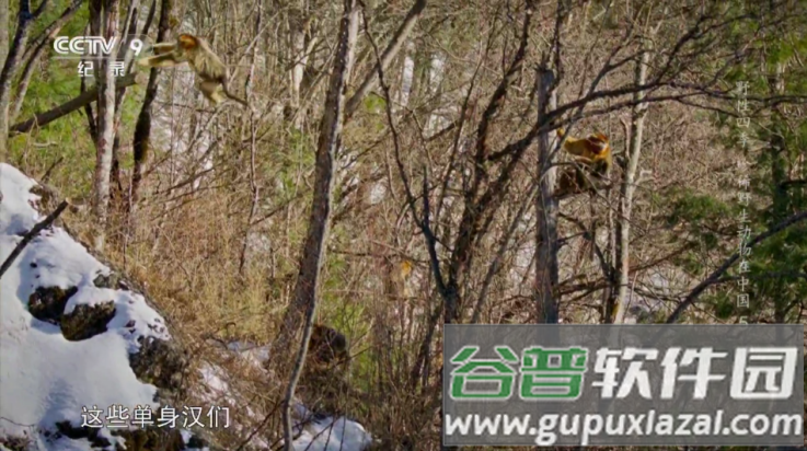 家视TV盒子截图4