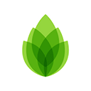 芦笋录屏软件v1.6.15