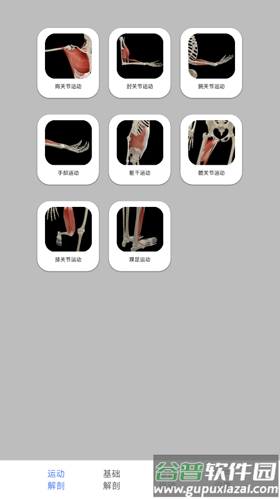 3d运动解剖下载手机版