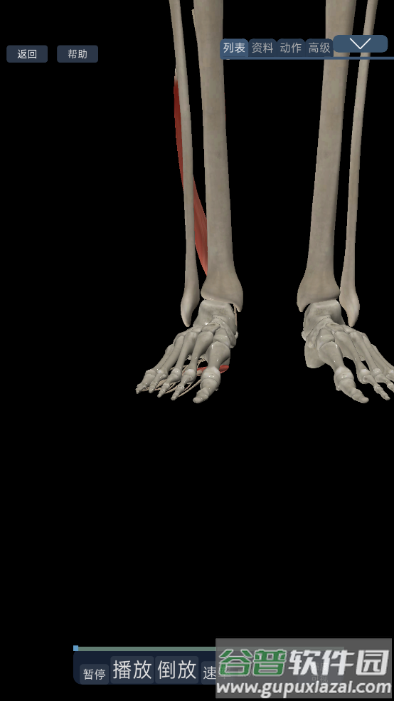 3d运动解剖下载手机版截图3