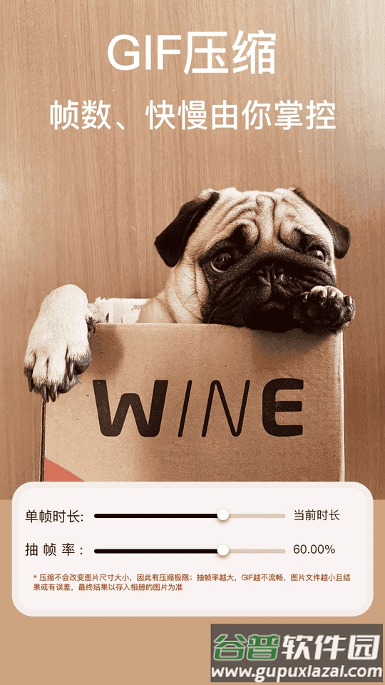 ImgMeta图片压缩专家软件截图2