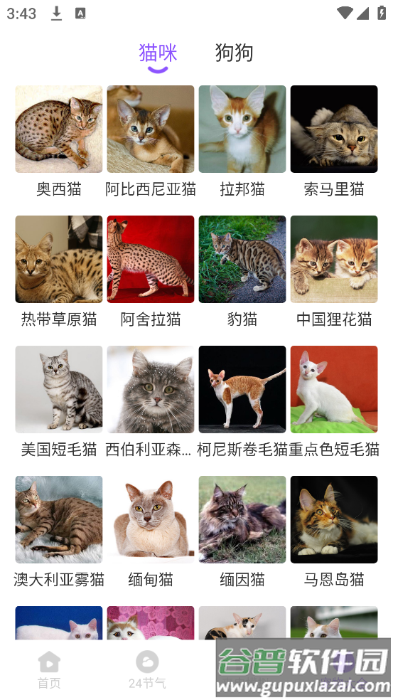 零星来电秀app截图4