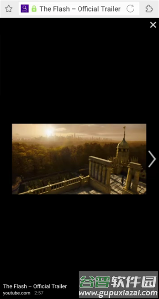 怎么打开flash配图3