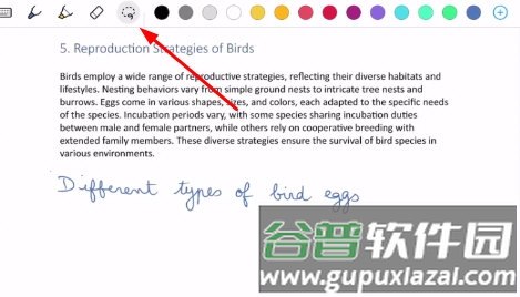 怎么导入pdf配图4