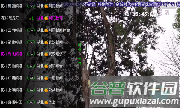 花样TV盒子截图4