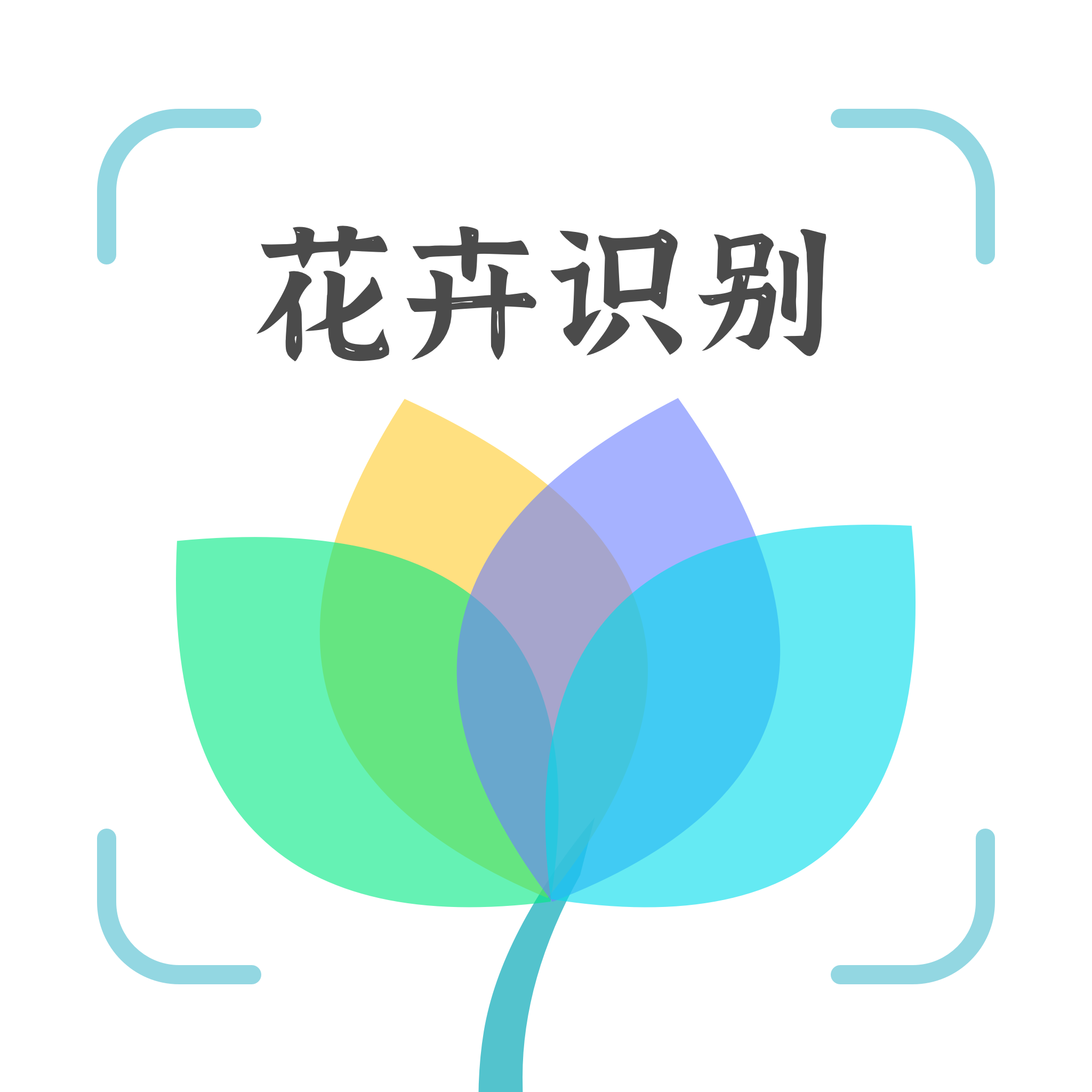 花卉识别软件v1.0.5