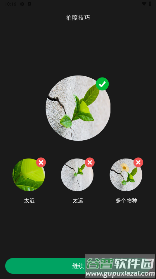 picturethis解锁高级版截图3