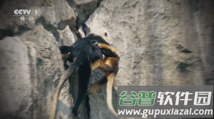 宝盒tv盒子2025最新版本截图4