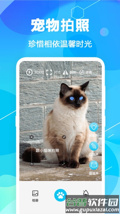 猫语翻译pet官方版截图1