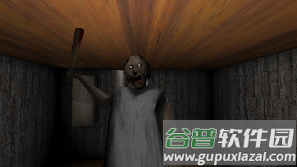 恐怖奶奶游戏(Granny)截图4