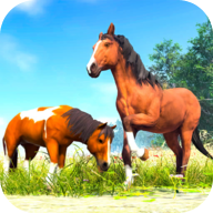 养马模拟器游戏(养马模拟器安装器)v1.42