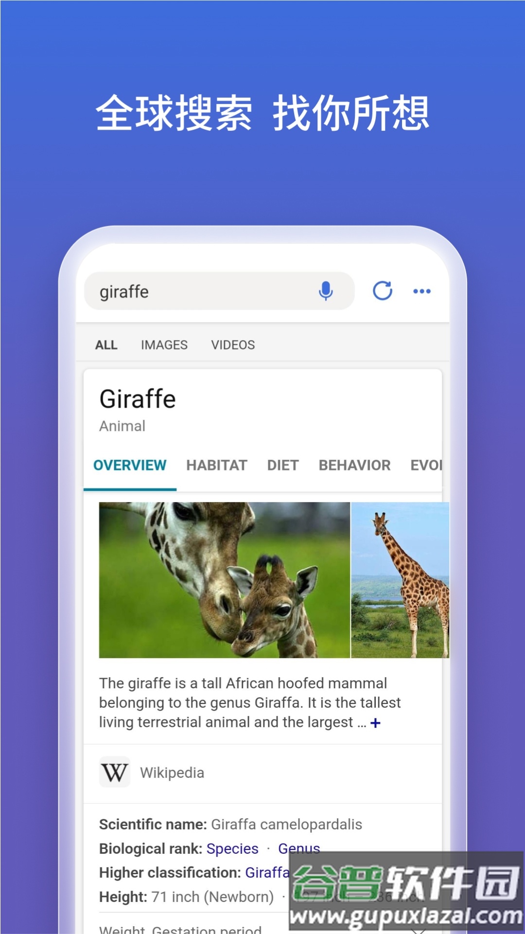 微软new bing官方客户端截图2