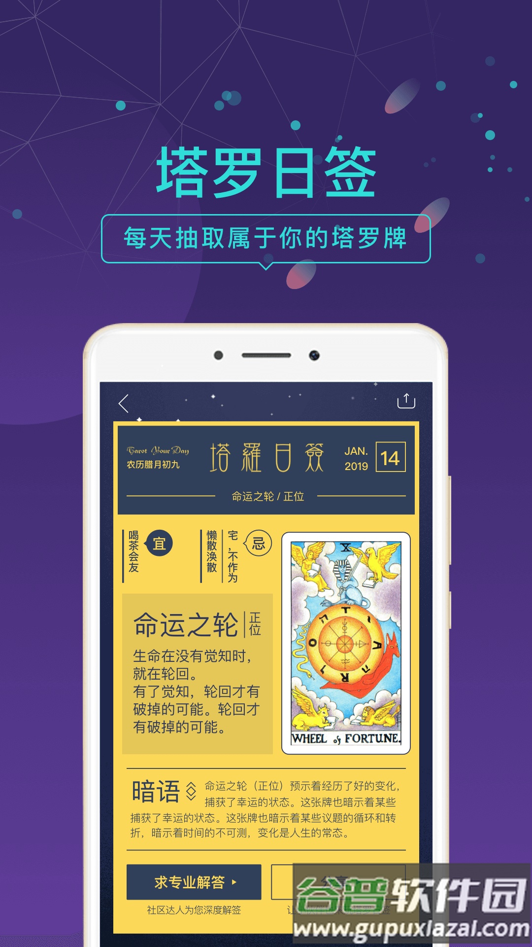 问问塔罗App每日一卜截图4
