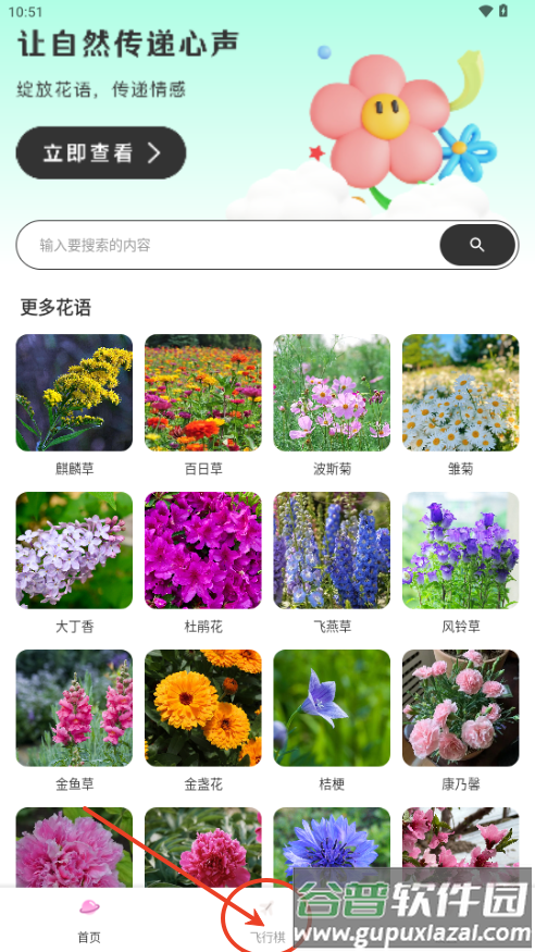 樱桃IM情侣飞行棋