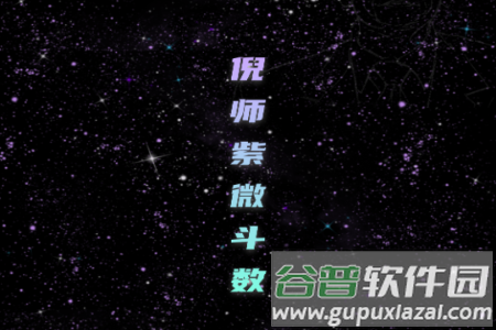 倪师紫微斗数排盘软件