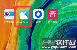 kiwi浏览器Kiwi Browser安卓版