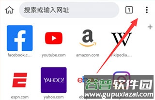 kiwi浏览器Kiwi Browser安卓版