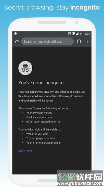 kiwi浏览器Kiwi Browser安卓版截图1