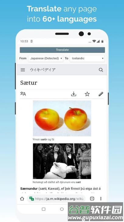 kiwi浏览器Kiwi Browser安卓版截图3
