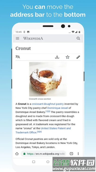 kiwi浏览器Kiwi Browser安卓版截图4