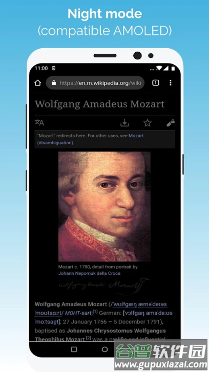 kiwi浏览器Kiwi Browser安卓版截图5