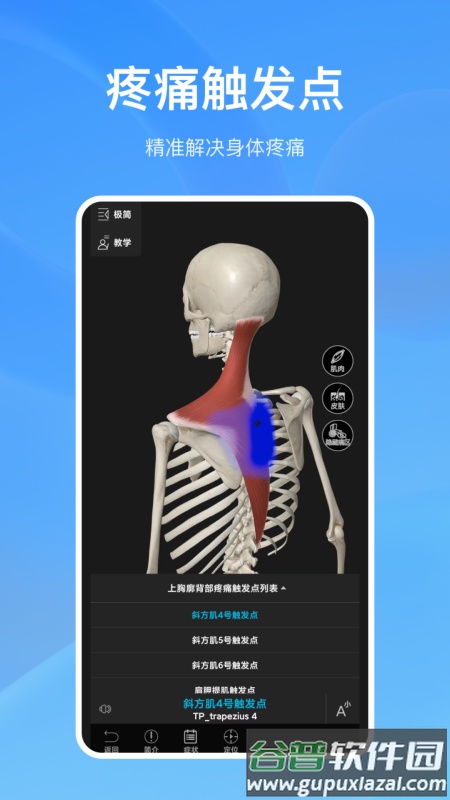 解剖大师官方版截图3