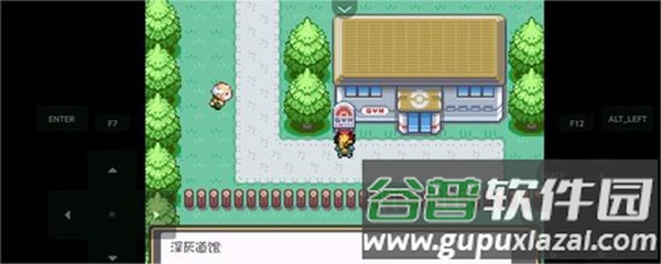 口袋妖怪燃之智中文版内置修改器截图3