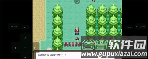 口袋妖怪燃之智中文版内置修改器截图4