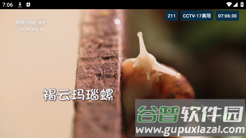 猫TV影视美刷版截图3