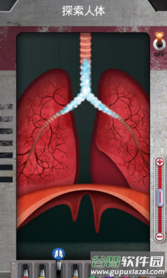 人体是如何运作的手游最新版(人体是如何运作的？安装器)截图1