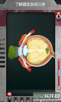 人体是如何运作的手游最新版(人体是如何运作的？安装器)截图2