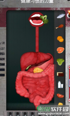 人体是如何运作的手游最新版(人体是如何运作的？安装器)截图3