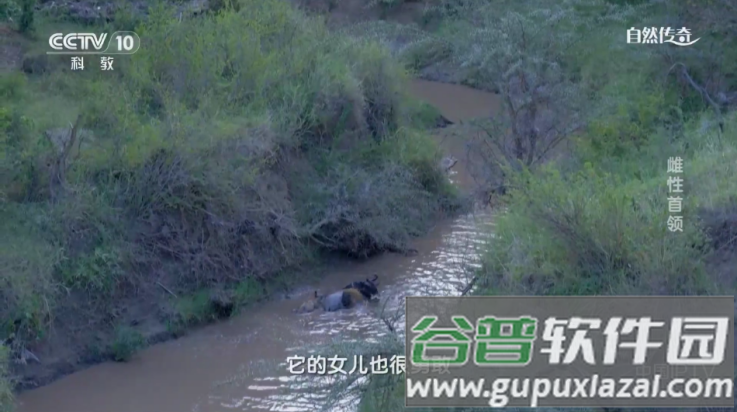 皮皮影视最新版官方下载截图4