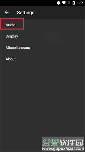 怎么设置音频源配图2