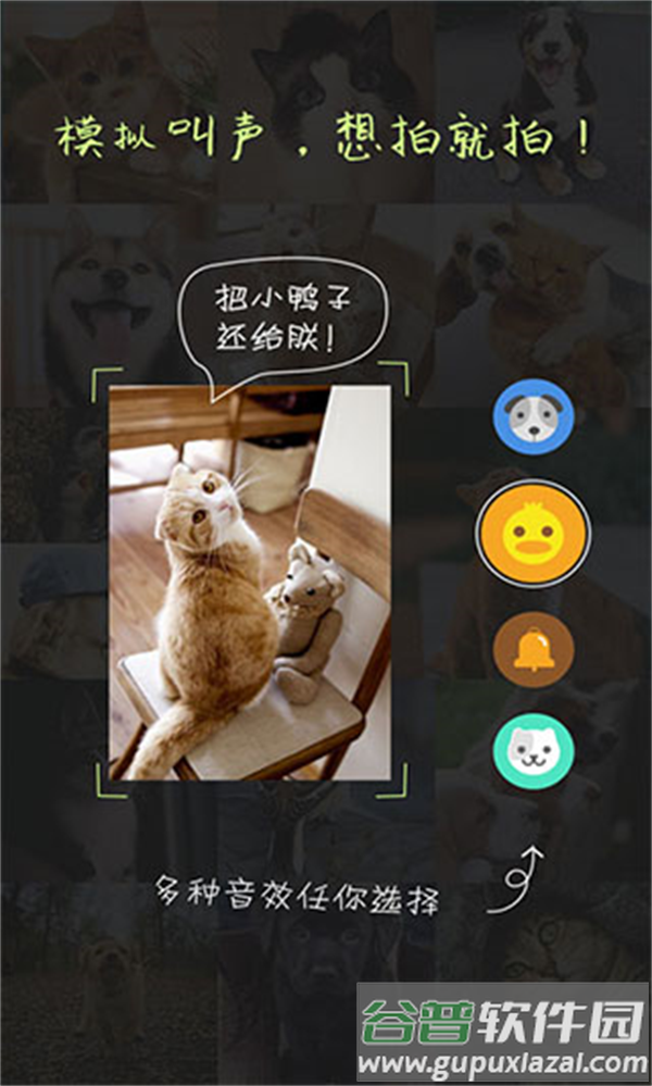 萌宠相机下载截图2
